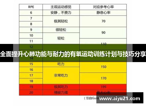 全面提升心肺功能与耐力的有氧运动训练计划与技巧分享